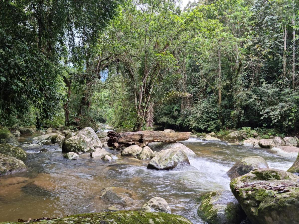 Recanto Da Margo 1, Casa Com Acesso A Cachoeira Paraty Exterior foto