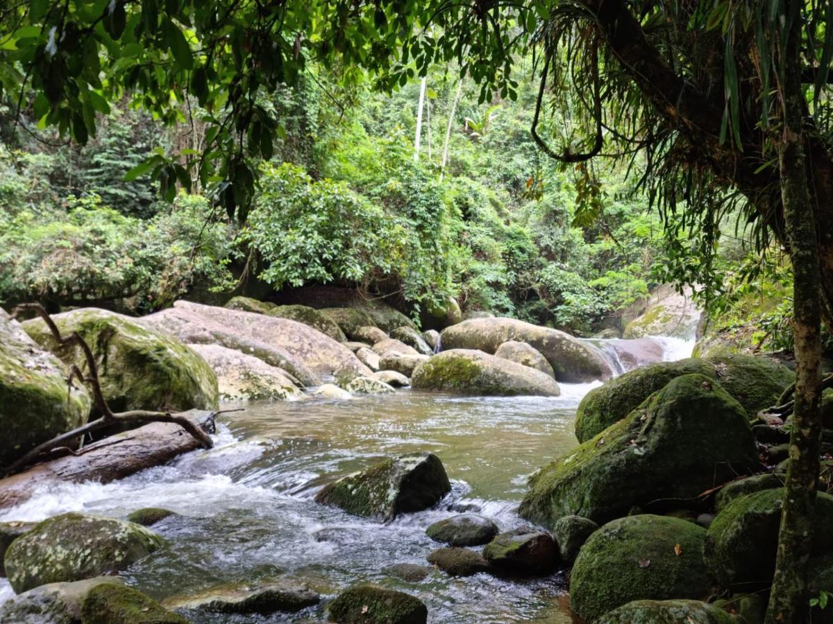Recanto Da Margo 1, Casa Com Acesso A Cachoeira Paraty Exterior foto