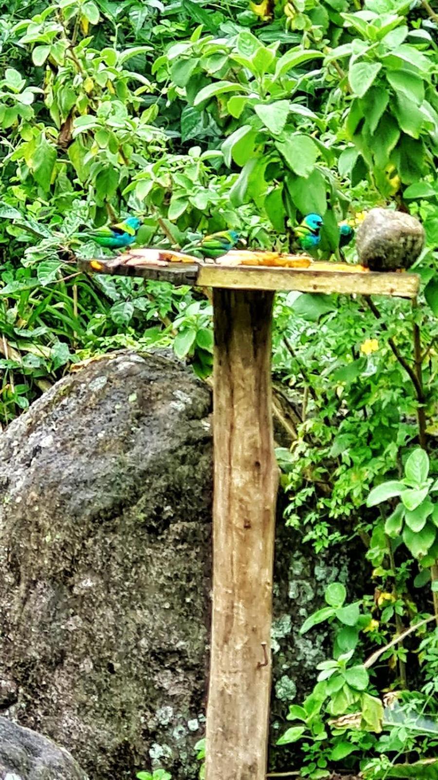 Recanto Da Margo 1, Casa Com Acesso A Cachoeira Paraty Exterior foto