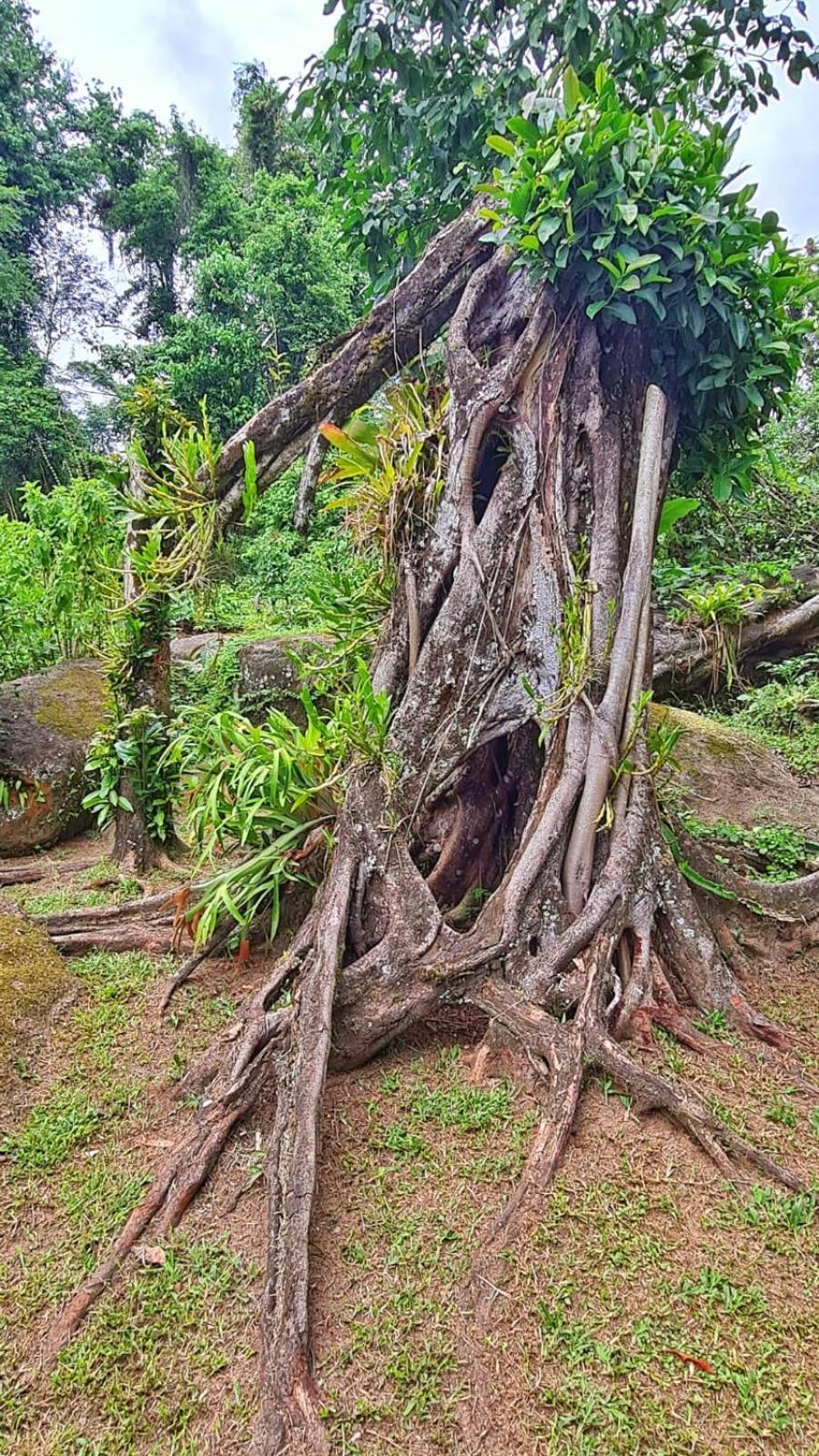 Recanto Da Margo 1, Casa Com Acesso A Cachoeira Paraty Exterior foto